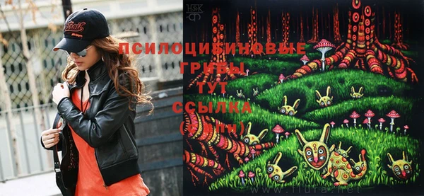 ГАЛЛЮЦИНОГЕННЫЕ ГРИБЫ Богородицк