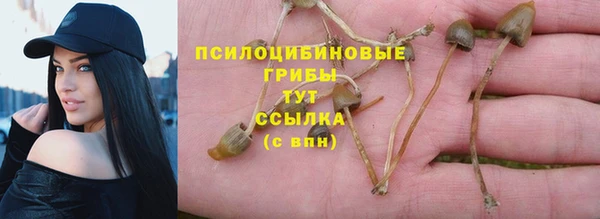 прущий лед Богородск