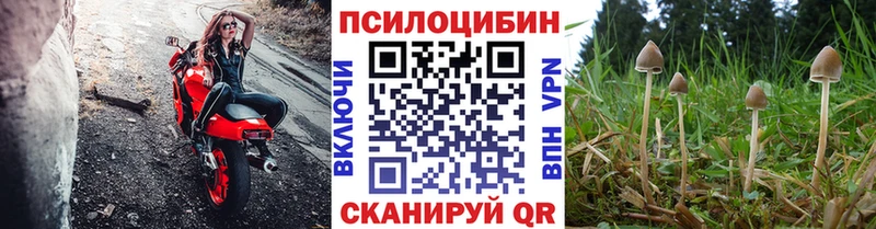 Галлюциногенные грибы MAGIC MUSHROOMS  Купить  Звенигово 